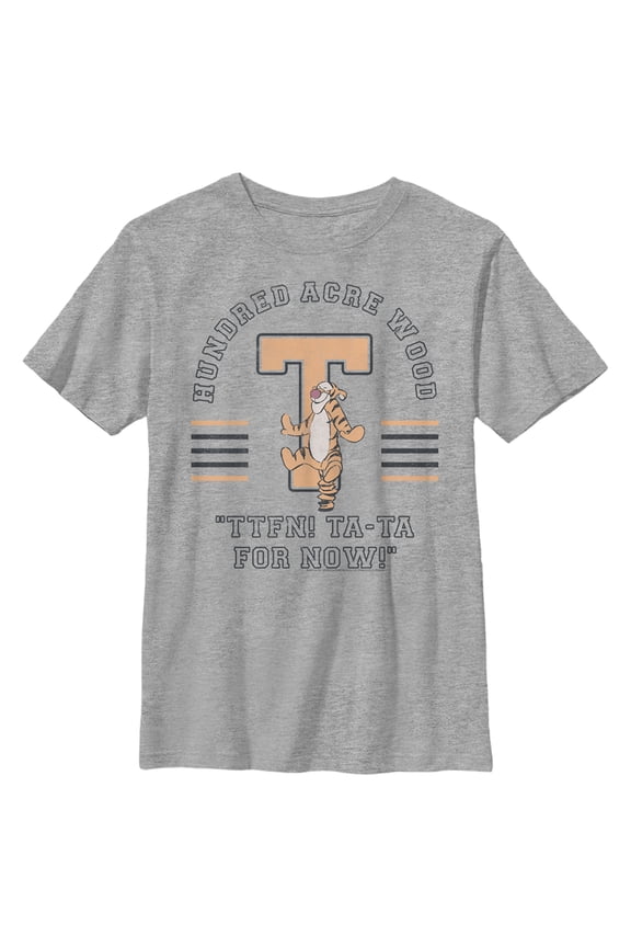 Boy's Winnie the Pooh Collegiate Tigger Graphic Tee Athletic Heather Large
