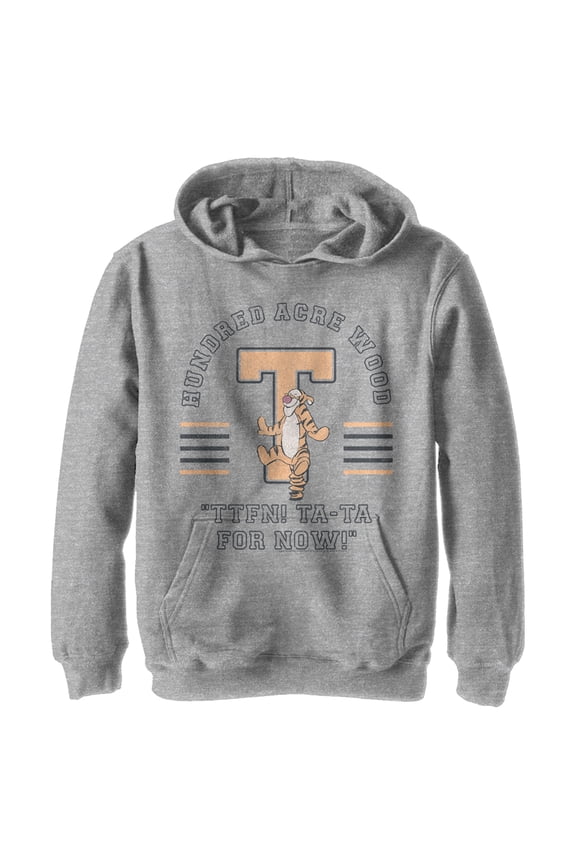 Boy's Winnie the Pooh Collegiate Tigger Pull Over Hoodie Athletic Heather Medium