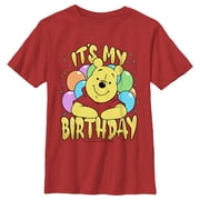 Boy's Winnie the Pooh It's My Birthday Graphic Tee Red X Large