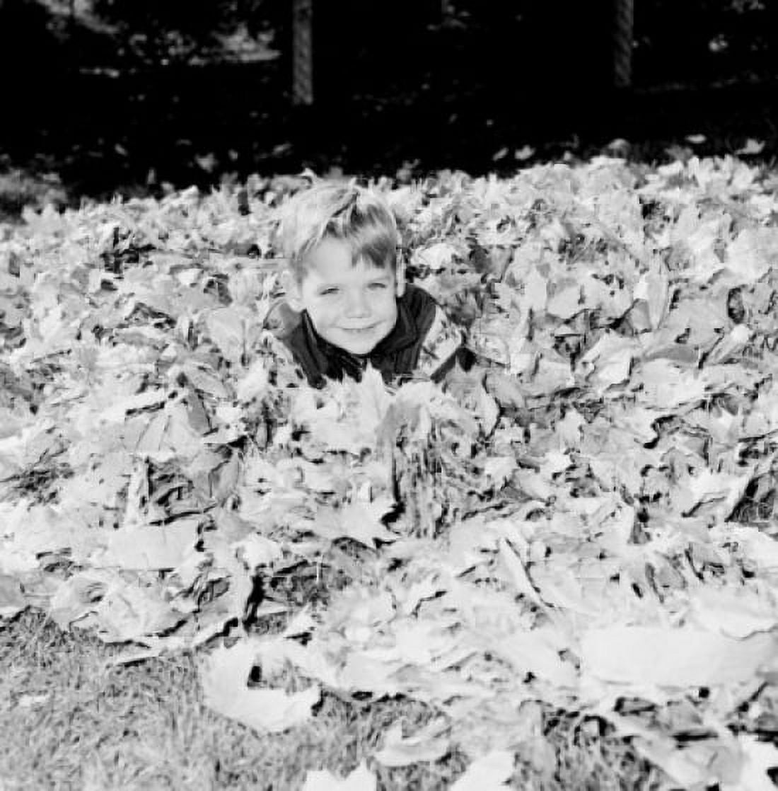 Boy sitting in dead leaves and looking at camera Canvas Art - (24 x 36)