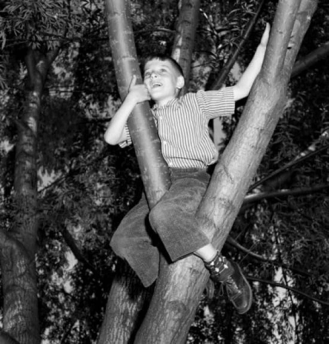 Boy sitting in tree Canvas Art - (24 x 36)