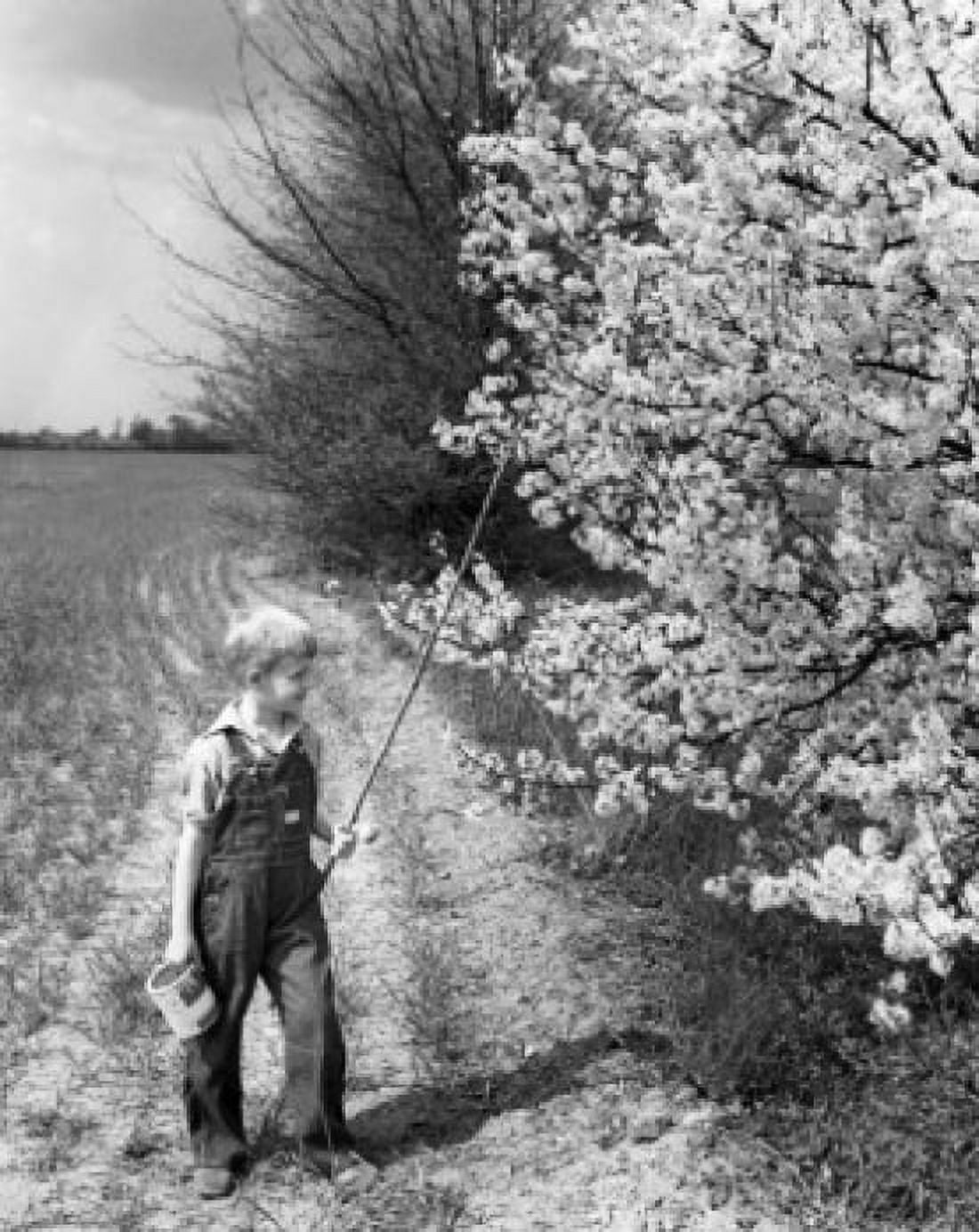Boy standing in a field and holding a stick Canvas Art - (24 x 36)