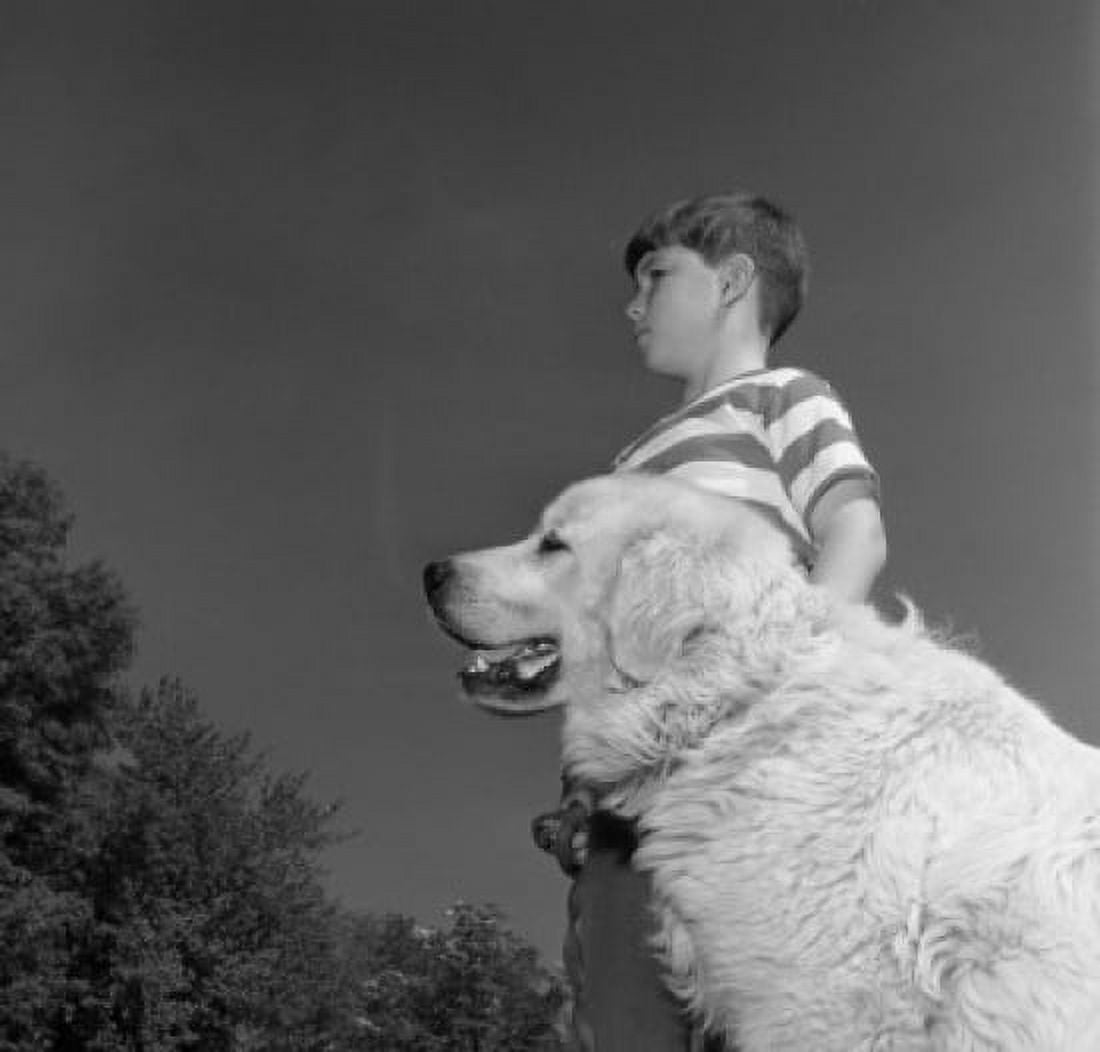 Boy standing with dog in park Canvas Art - (18 x 24)