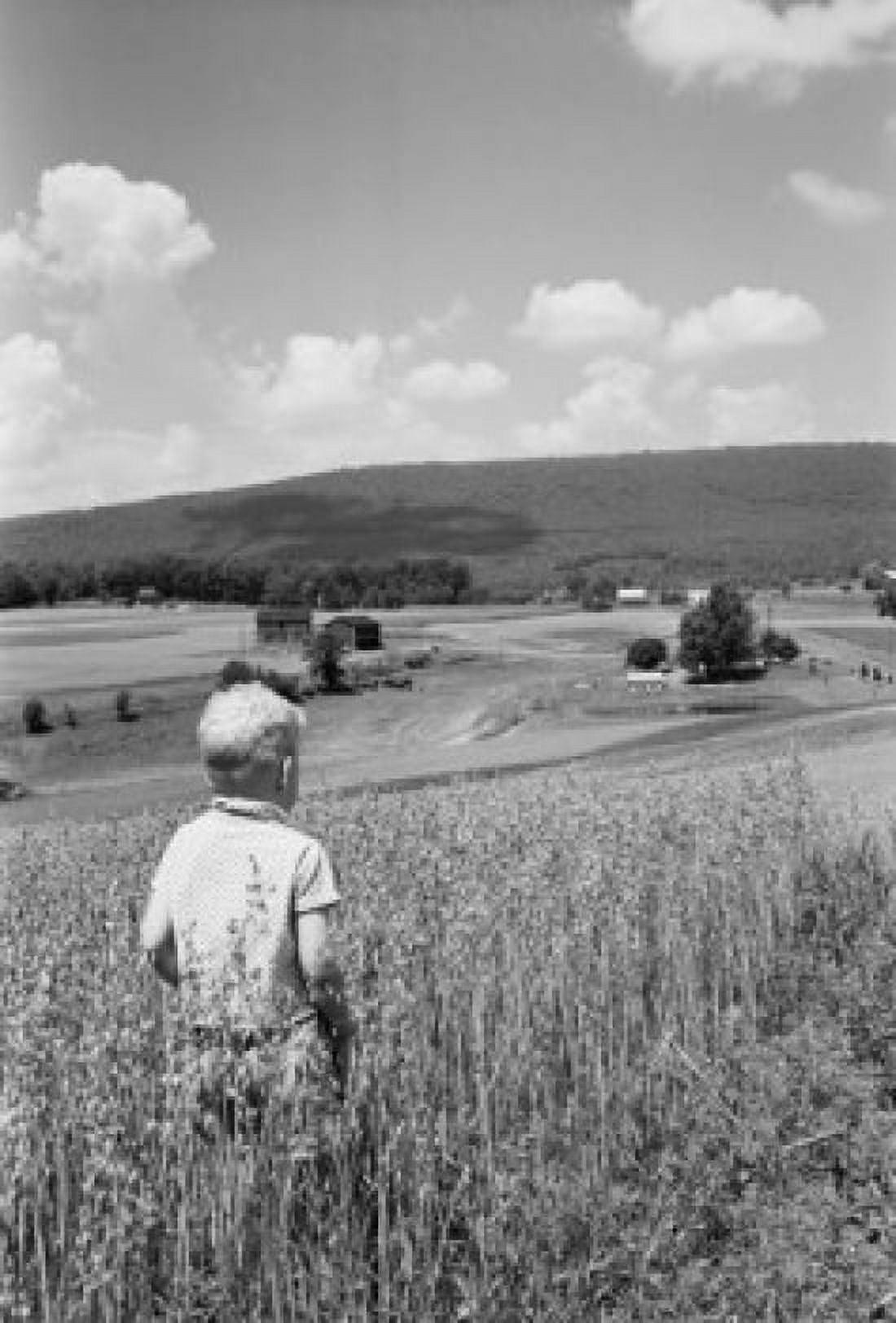 Boy walking in field Canvas Art - (24 x 36)