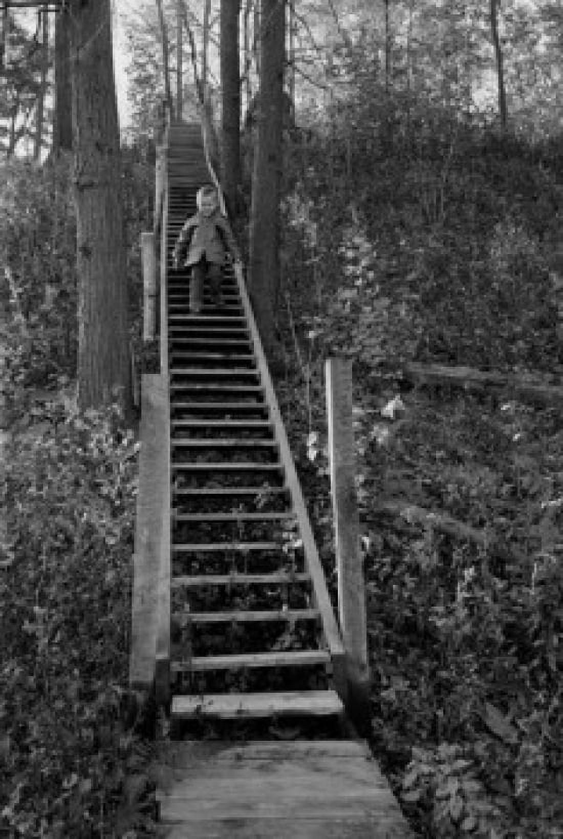 Boy walking on wooden steps outdoors Canvas Art - (18 x 24)
