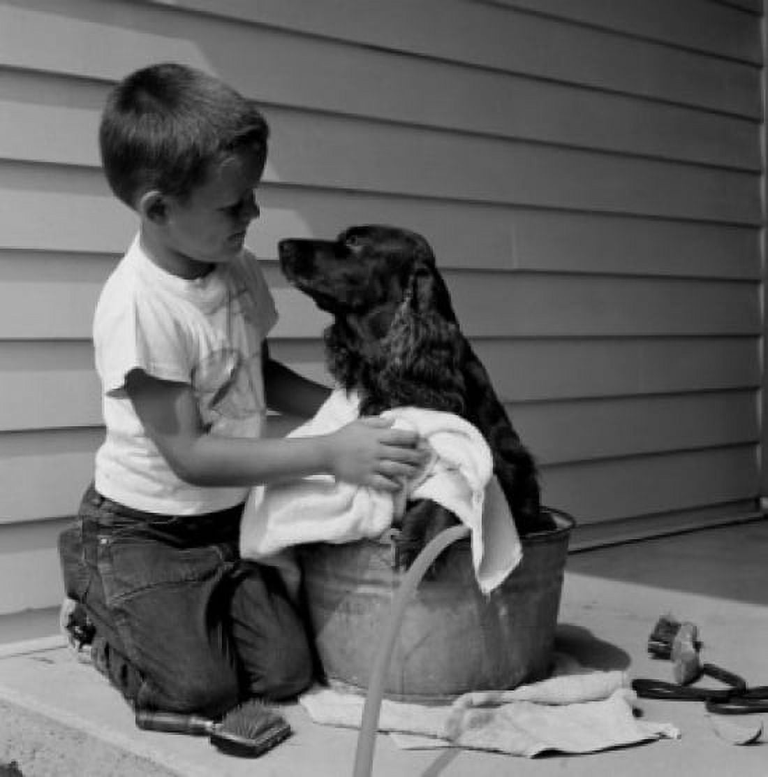 Boy washing dog in bowl Canvas Art -  (24 x 36)