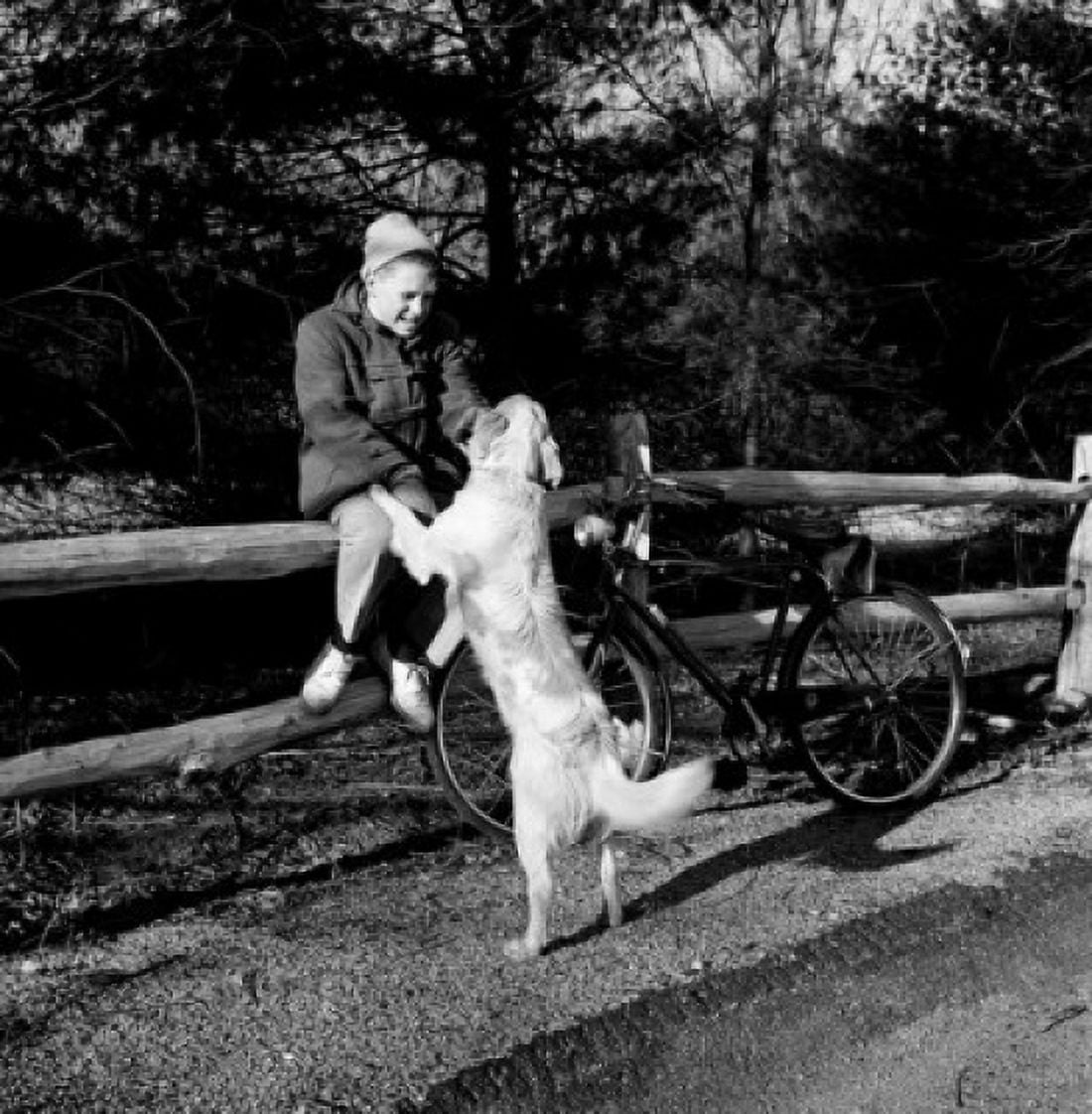 Boy with dog and bicycle sitting on fence Canvas Art - (18 x 24)