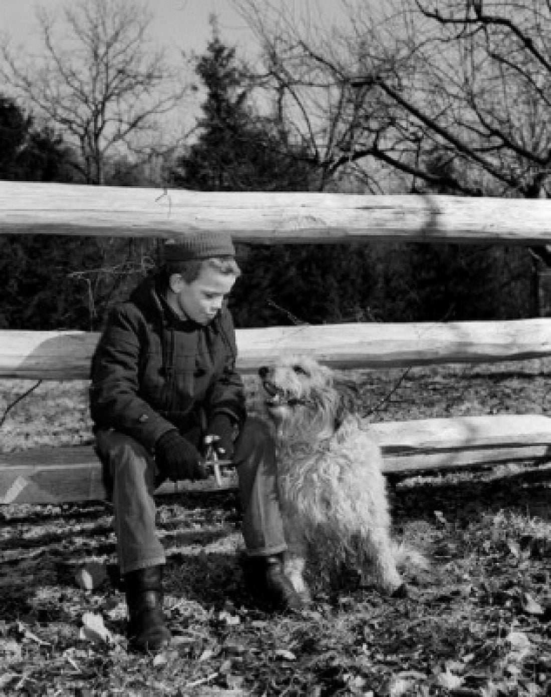 Boy with dog sitting on fence Canvas Art - (24 x 36)