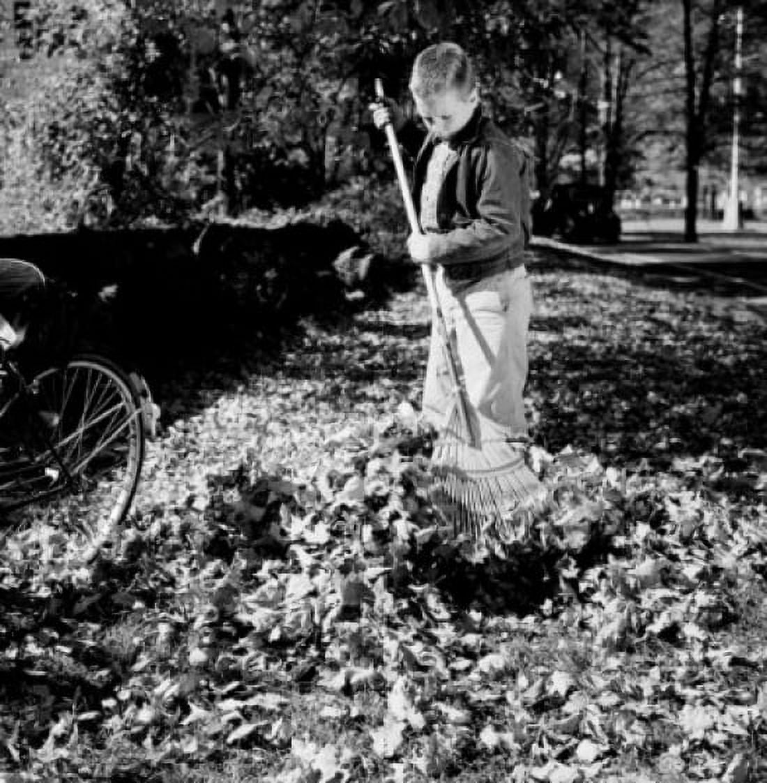 Boy with rake cleaning autumn leaves Canvas Art - (24 x 36)