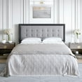 thumbnail image 1 of Boyd Sleep Zoe Gray Upholstered Velvet Headboard, Queen and Full, 1 of 5