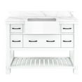 Boyel Living 48" Bathroom Cabinet Farmhouse Sink Bathroom Vanity in ...