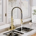 thumbnail image 1 of Boyel Living Kitchen Faucet in Brushed Gold, 2-Mode Sprayer Spring Kitchen Sink Faucet with Towel Rack, Kitchen Faucet for Kitchen Sink, 1 of 8