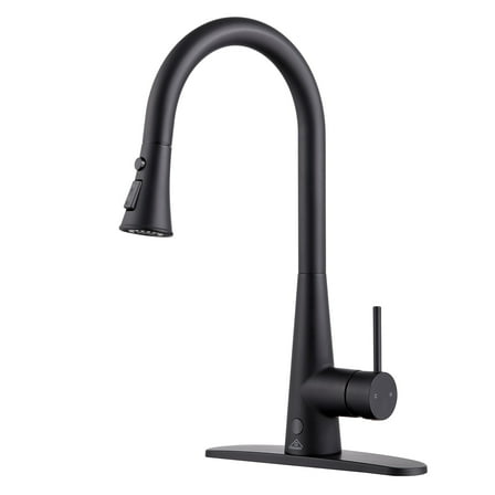 Boyel Living Pull-out infrared induction kitchen faucet