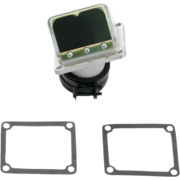 Boyesen RAD Valve Assembly for 1996 YZ250 (RAD34C)