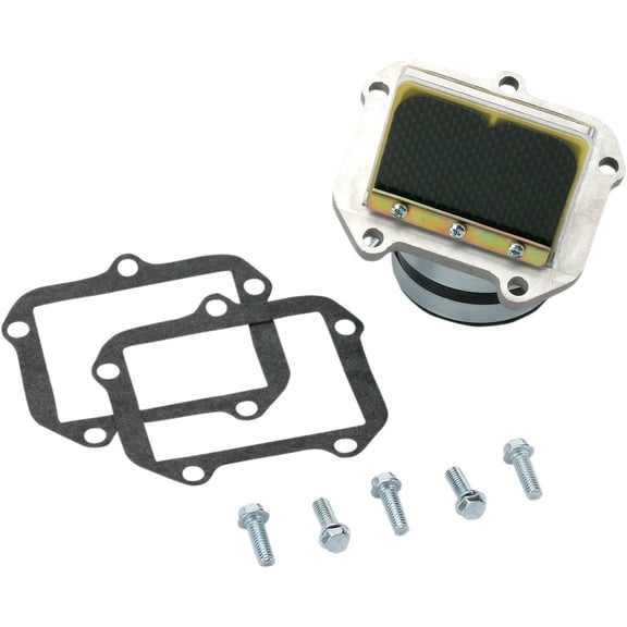 Boyesen RAD Valve Assembly (RAD-42B)