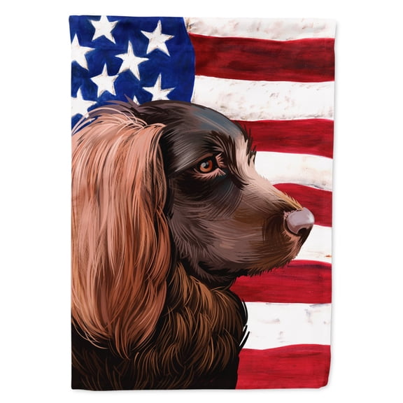Carolines Treasures CK6455CHF Boykin Spaniel Dog American Canvas House Size Outdoor-Flags, Multicolor