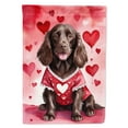 thumbnail image 1 of Boykin Spaniel My Valentine Garden Flag 11.25 in x 15.5 in, 1 of 5