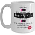 thumbnail image 1 of Boykin Spaniels Coffee Mug, Boykin Spaniels Gifts, Boykin Spaniels Cup, Funny Boykin Spaniels Gifts For Women, Boykin Spaniels Mug For Boykin Spaniels Lover, Birthday Christmas Basket gag Gift Idea, 1 of 3