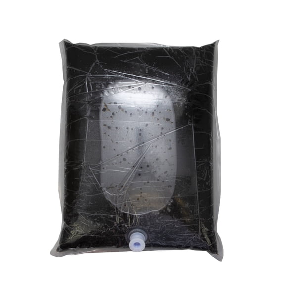 Boylan Bottling, Birch Beer BIB 5 Gallon (1 Count)