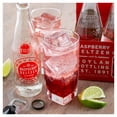 thumbnail image 1 of Boylan Bottling Co. 12 fl. oz. Raspberry Seltzer - 24/Case, 1 of 1