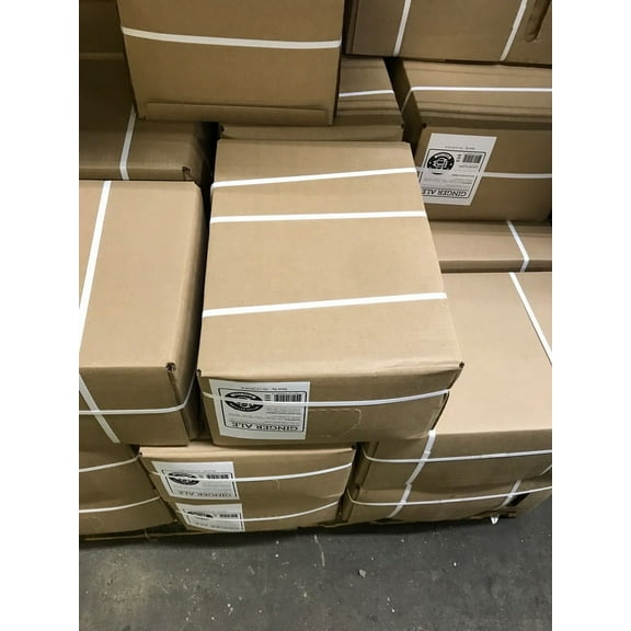 (Price/Pack)Boylan Bottling Bag-In-Box Ginger Ale Soda 5 Gallon Bag - 1 Per Case