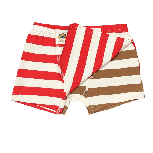 Boys' 2-Pack Striped Boxer Briefs, Red & Brown - 3-4Y