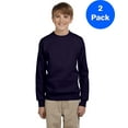thumbnail image 1 of Boys 7.8 oz. ComfortBlend EcoSmart 50/50 Fleece Crew P360 (2 PACK), 1 of 2