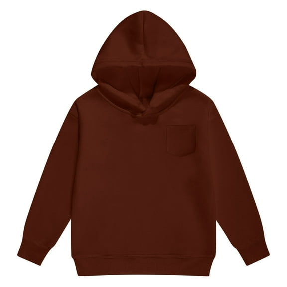 Boys And Girls Hoodies & Sweatshirts Casual Long Sleeve Pullover Solid Color Outerwear Cozy Lined Hooded Sweater For Teen,Size:2-3 Years