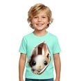 thumbnail image 1 of Boys Animal Shirt , Animal Print Shirt Kids , Kids T Shirts for Girls,Easter Holiday Graphic Tees For Boys Soft Casual Short Sleeve Colorful Kids Tops, 1 of 4