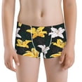 Boys Boxer Briefs Lilies Flowers White Yellow 100 Cotton Toddler