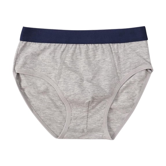 Boys Briefs 100% Cotton - Kids Underwear Soft & Breathable for Ages 1-10 Years, Toddler to Big Boy Sizes, Heather Gray, 1-Pack,Size 4-6 T