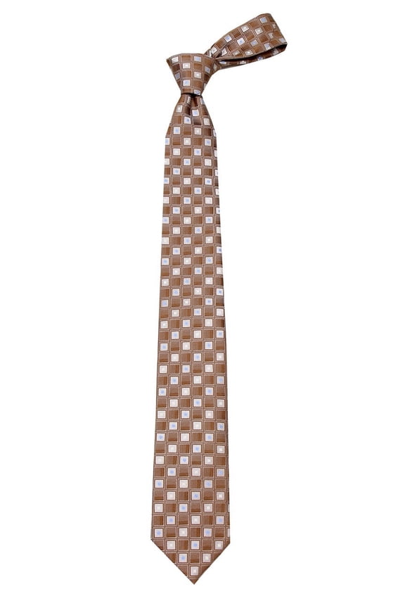 Boys Brown and Taupe Fashion Necktie Ties