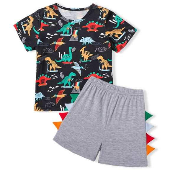 Boys Clothes Winter Outfits Dinosaur Clothes For Boys Printed Long Sleeve Top+Pants 2Pcs Set4-5years