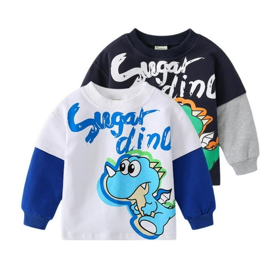 Boys Cotton Sweatshirts Pullover Crewneck Winter Long Sleeve Dinosaur Printed Tops Shirts 2-3 Years