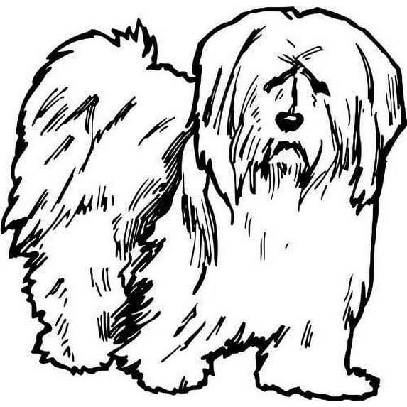 Boys Cute Animal Wall Decal Decoration Adorable Dog with Long Hairs Lasts Years and Easily Removable - Size: 20 In(W) x 20 In(H)