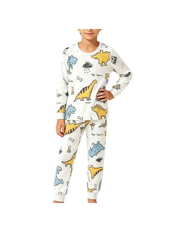 Boys Cute Long Johns Casual Long Sleeve Dinosaur Graphic Tees Pants Set 2 Piece Fall Outfits Clothing Gray, 3 Y