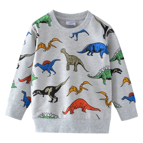 Boys Dinosaur Hooded Sweatshirts Casual Pullover Hoodie Fall Winter Long Sleeve Cartoon Tops Toddler Clothes 2T (Dino-011)