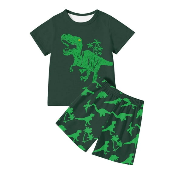 Boys Dinosaur Print T Shirt And Shorts Sets Outfits Casual Wear And Sports Size 6T