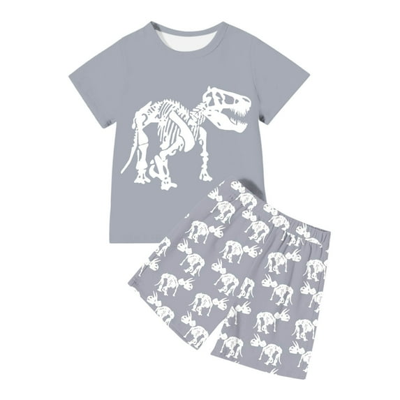 Boys Dinosaur Print T Shirt And Shorts Sets Outfits Casual Wear And Sports Size 6T