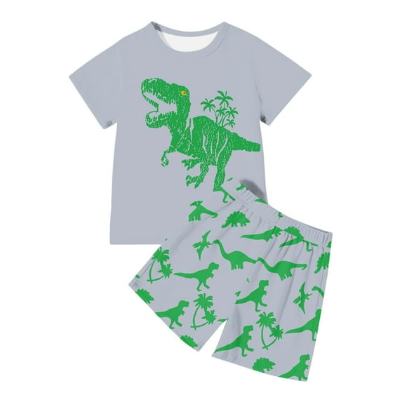 Boys Dinosaur Print T Shirt And Shorts Sets Outfits Casual Wear And Sports Size 9T