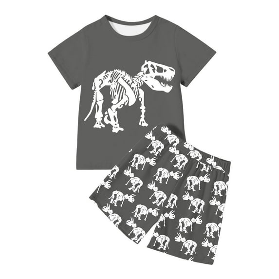 Boys Dinosaur Print T Shirt And Shorts Sets Outfits Casual Wear And Sports Size 9T