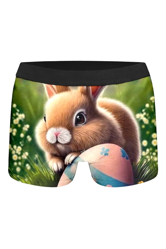 Boys' Easter Boxers Cartoon Rabbit Easter Egg Print Underwear Green 4Y-5Y