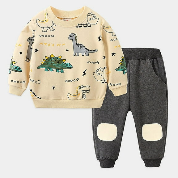 Boys Fall Outfits Toddler Boy Clothes Fall Winter Outfits Print Clothes for Boys Hooded Sweatshirt Pants Boys' Clothing Sets Size 3T 4T Teen Outfits 2 Piece