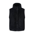 thumbnail image 1 of Boys Girls Polar Fleece Vest 4T Teddy Sleeveless Zip Up Jacket Stand Collar Coat with Pocket Kids Warm Fall Clothes, Black, 4 Years, 1 of 1