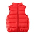 thumbnail image 1 of Boys Girls Puffer Vest Kids Stand Collar Zip Up Padded Gilet Winter Warm Lightweight Quilted Jackets Fashion Outwear with Pocket, 1 of 6
