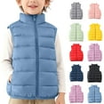 thumbnail image 1 of Boys Girls Puffer Vest Kids Stand Collar Zip Up Padded Gilet Winter Warm Lightweight Quilted Jackets Fashion Outwear with Pocket, 1 of 6