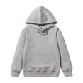 thumbnail image 1 of Boys Girls Pullover Hoodies Adjustable Drawstring Soft Solid Classic Pull On Hooded Sweatshirts for Kids Toddler, 1 of 5