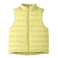 thumbnail image 1 of Boys Girls Quilted Puffer Vest Winter Padded Sleeveless Zip up Jackets Kids Lightweight Soft Insulated down Coats, 1 of 3