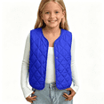 thumbnail image 1 of Boys Girls Quilted Vest Snap Button Sleeveless Lightweight Jacket Size 10-12, 1 of 6