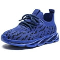 thumbnail image 1 of DADAWEN Toddler Boys Girls Walking Running Shoes Lightweight Anti-Slip Sneakers 8 Toddler, 1 of 6